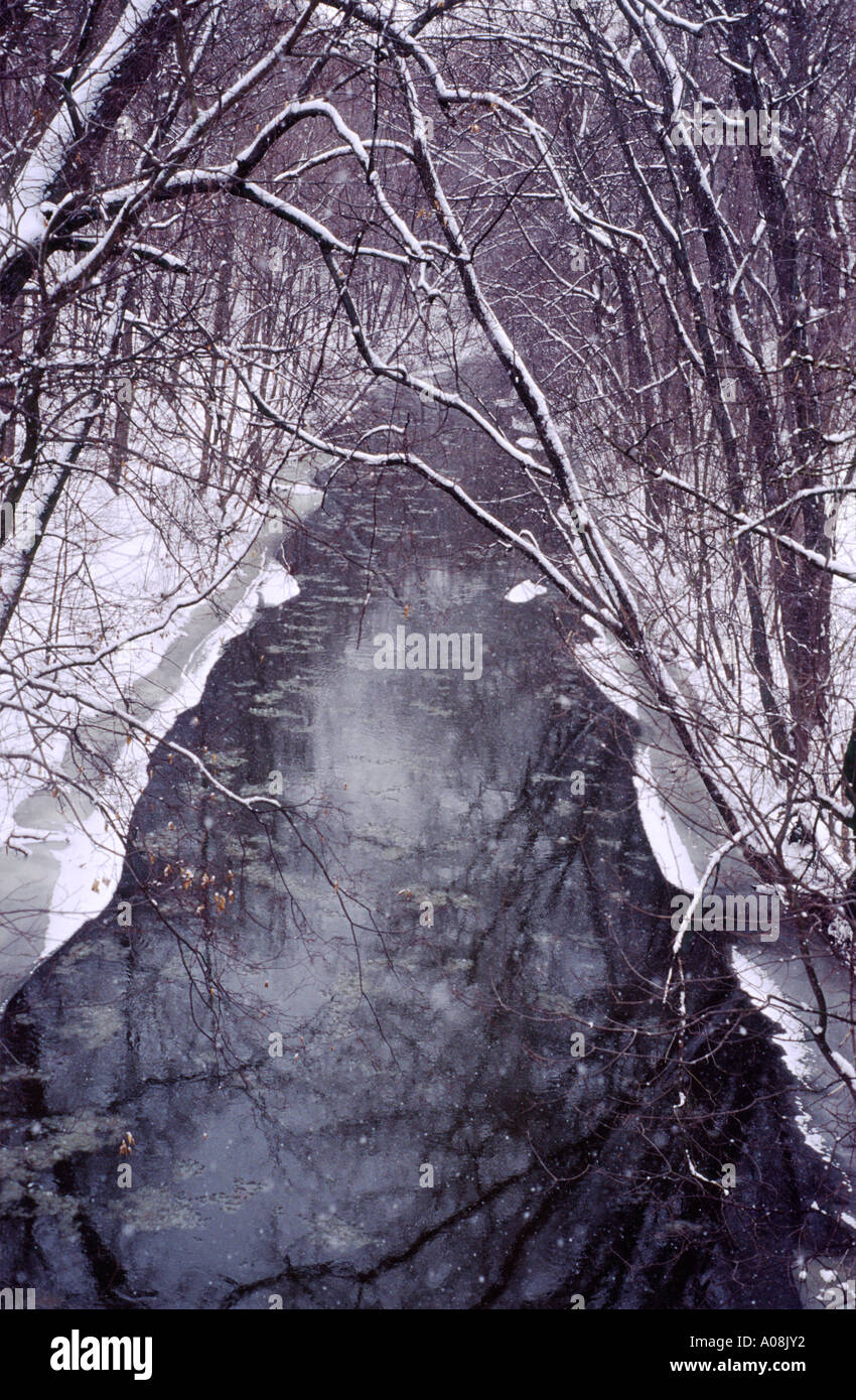 Winter minneapolis minnesota usa united states hi-res stock photography and  images - Alamy, image size:850x1390