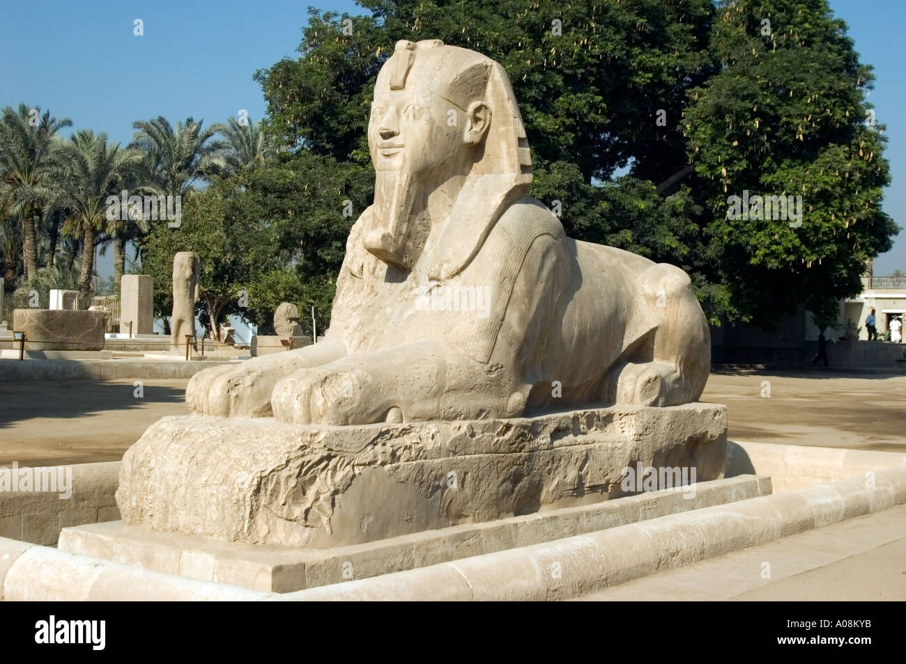 The Alabaster Sphinx, in the ruined ancient city of Memphis near the ...