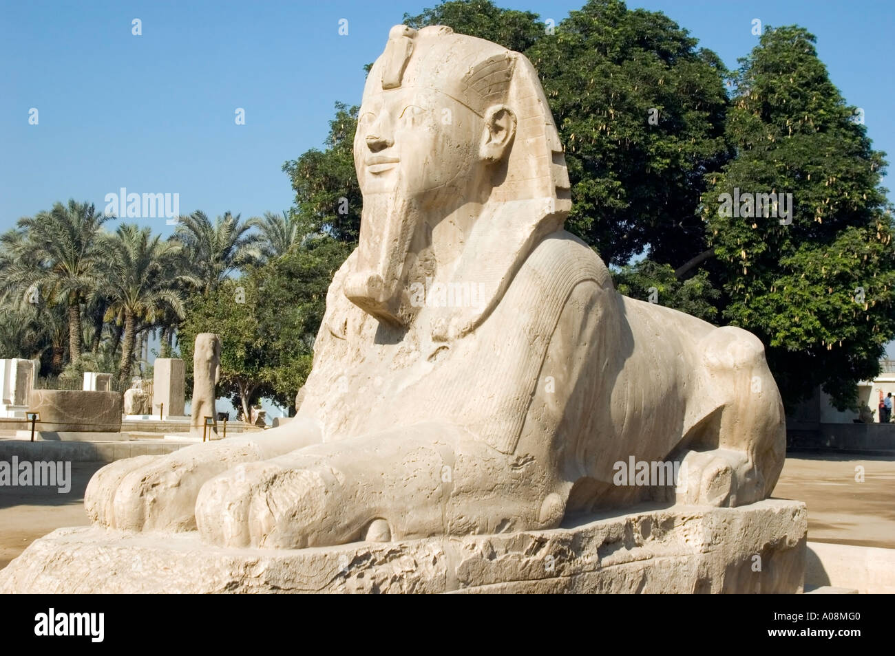 The Alabaster Sphinx, in the ruined ancient city of Memphis near the ...