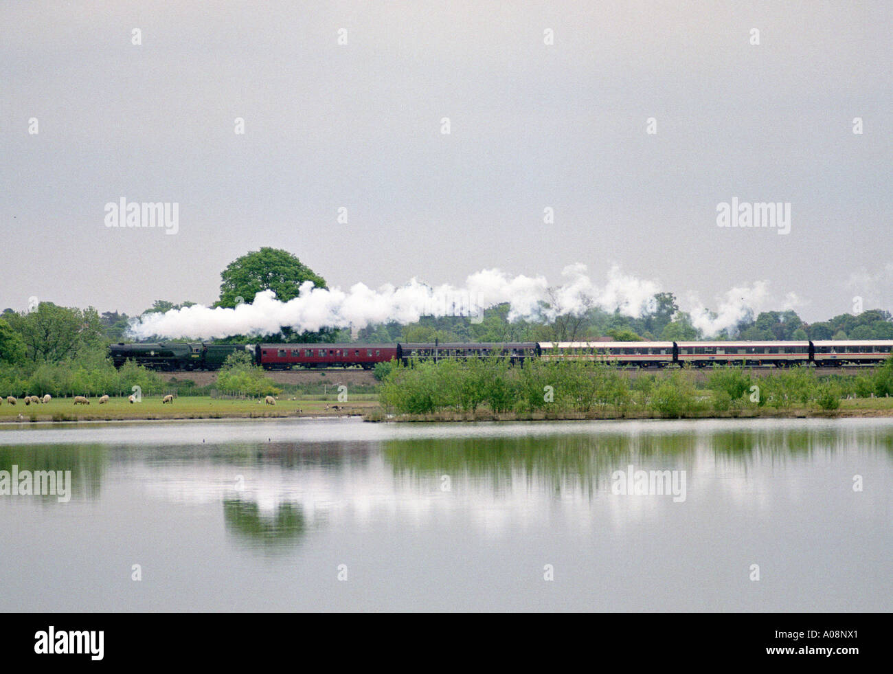 Steam Train near Tonbridge, Kent, UK. Stock Photo