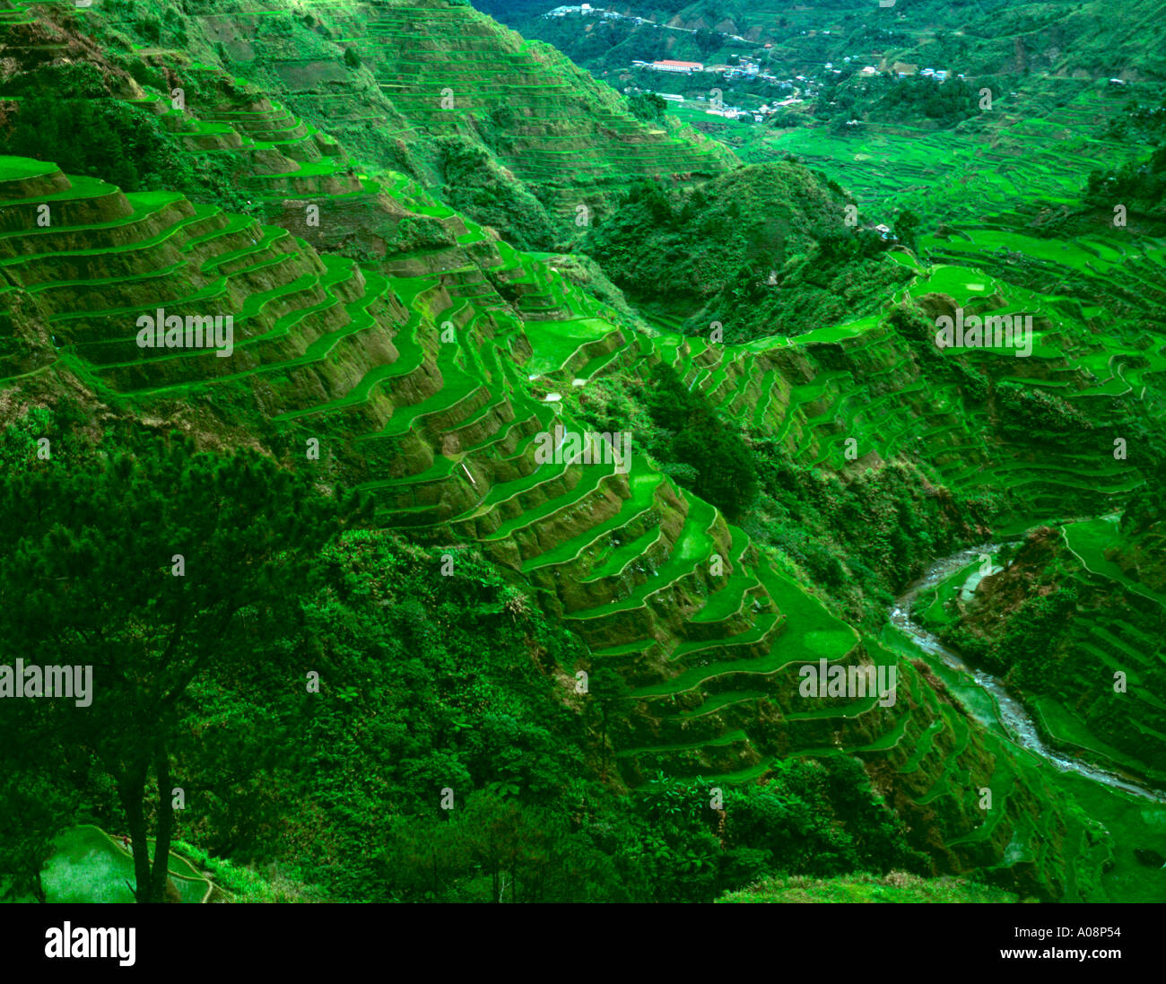 Hillside cultivation hi-res stock photography and images - Alamy