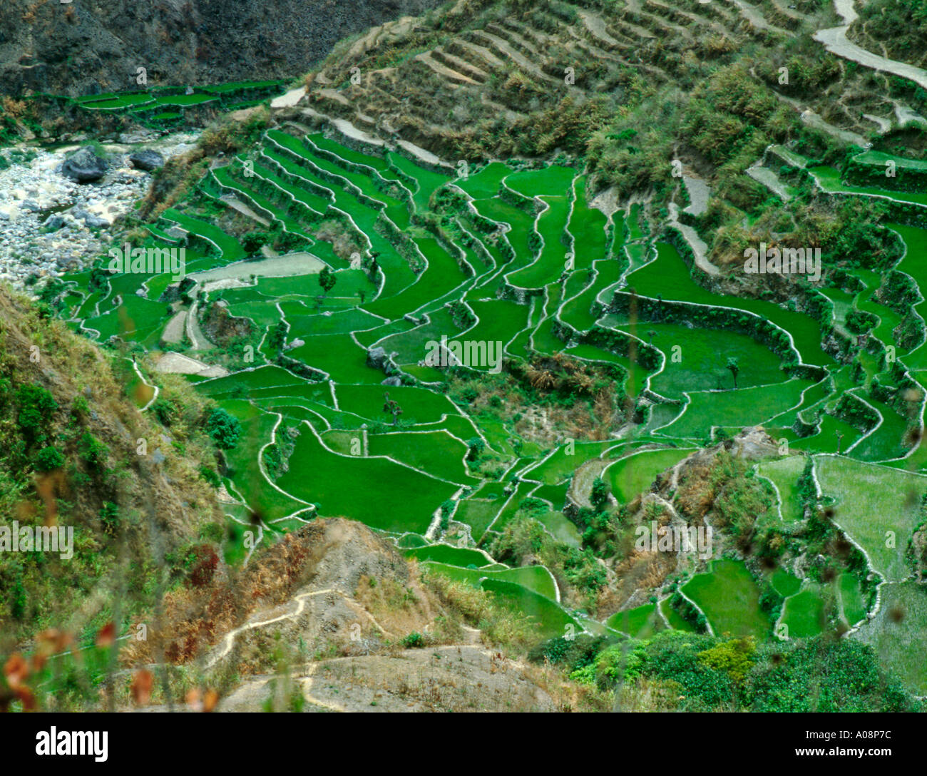 Two thousand year old rice terraces, Banaue, northern Luzon ...
