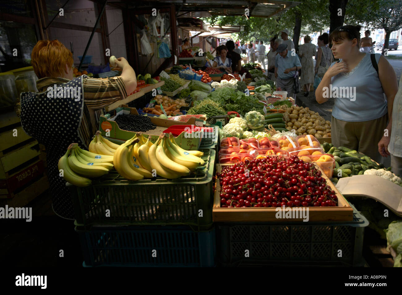 Fruit and vegetable market in Gdansk Poland Stock Photo: 9917264 ...