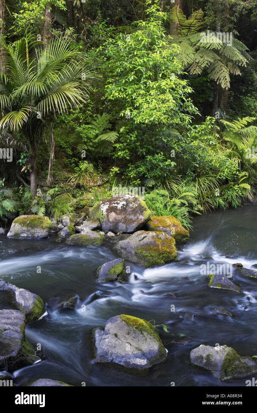Hatea River Whangarei Falls Whangarei Northland New Zealand Stock Photo