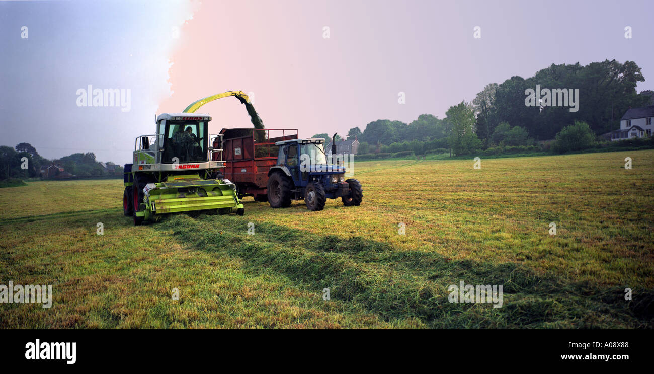 forage harvester in the Forest of Dean Stock Photo