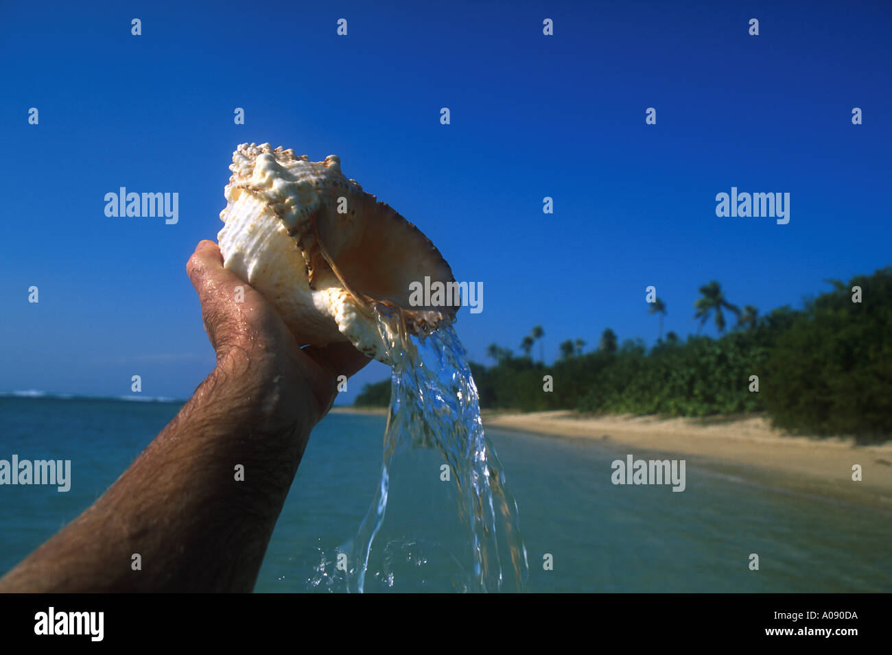 Seashell pouring water at Puerto Rico beach Stock Photo