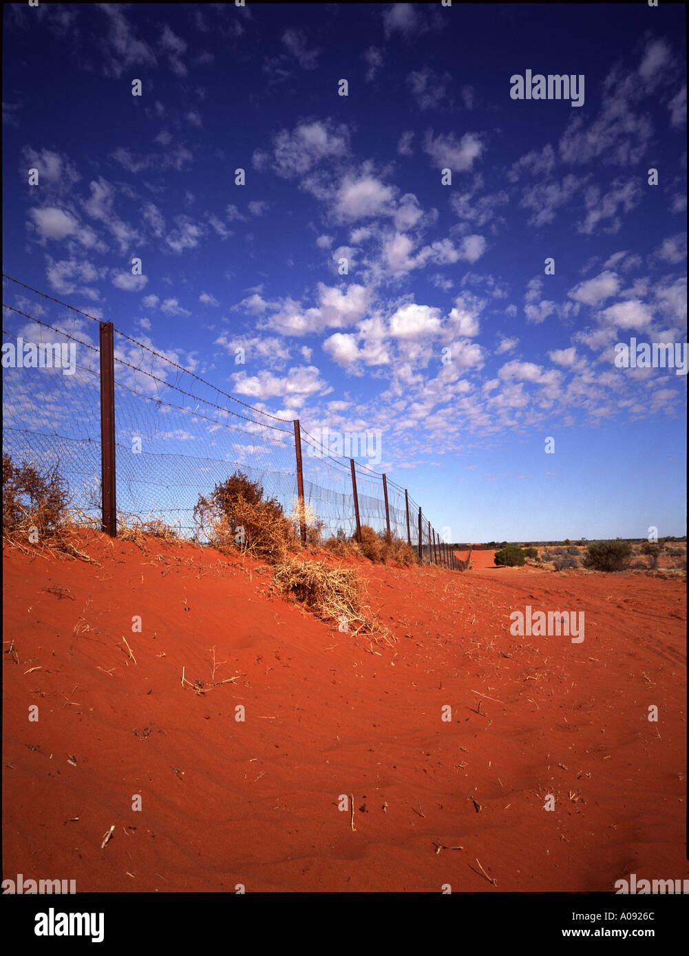 wild dog fence, outback australia Stock Photo Alamy