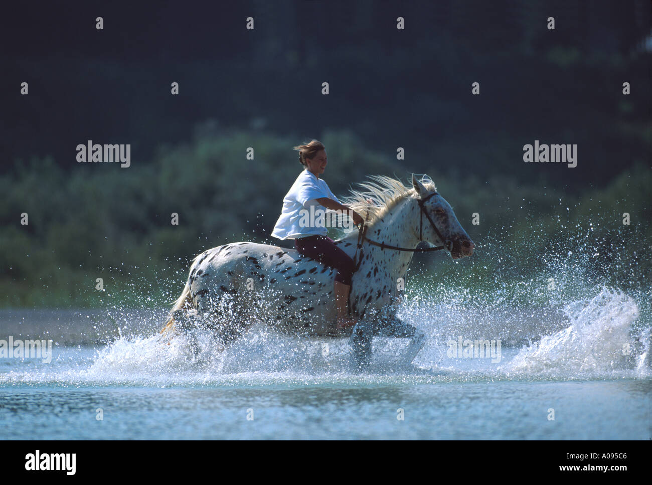 girl riding through water Stock Photo - Alamy