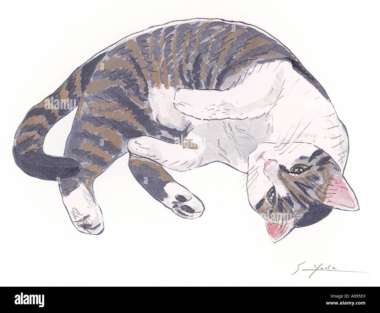 An illustration of a cat Stock Photo