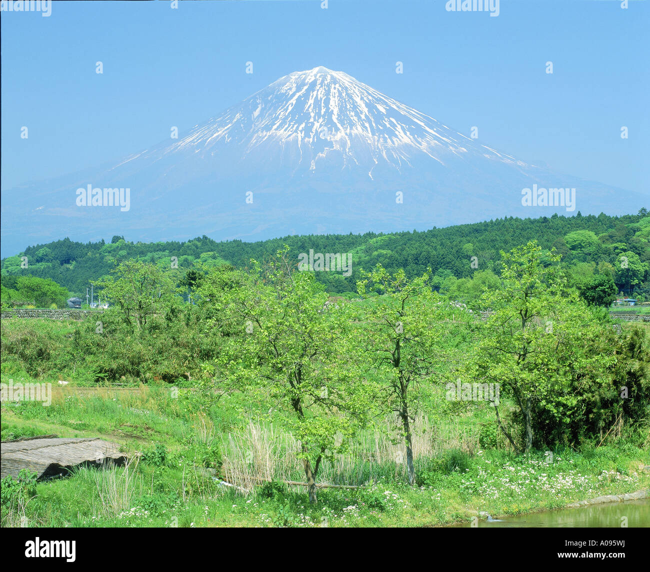 Mt Fuji Shizuoka ken Japan Stock Photo Alamy