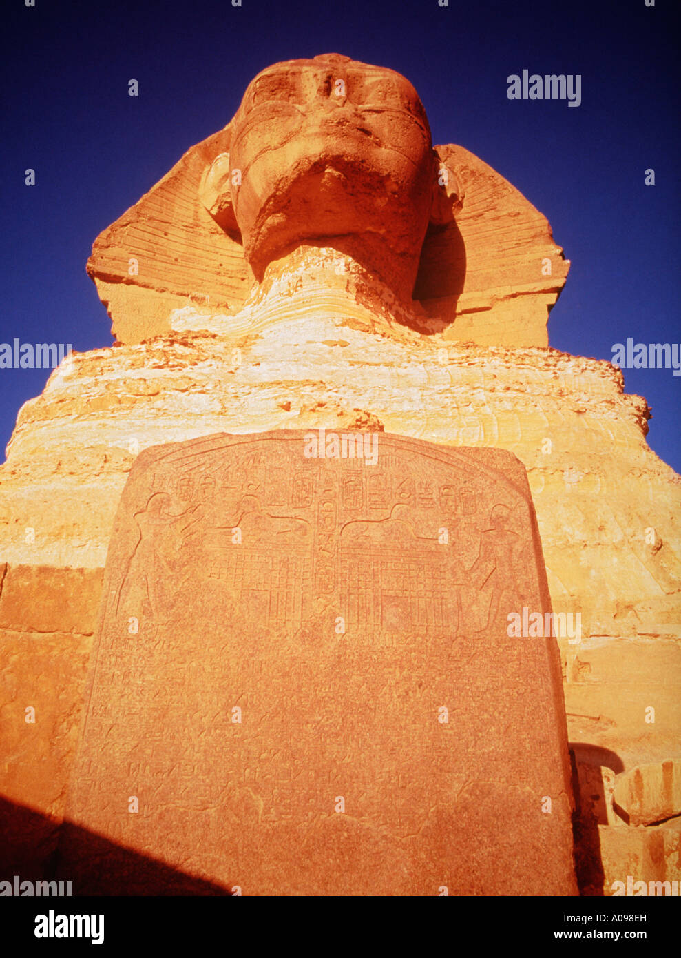 The Sphinx Egypt, at sunrise, Giza, Cairo, North Africa, dramatic front birds eye view of head and dream stele Stock Photo