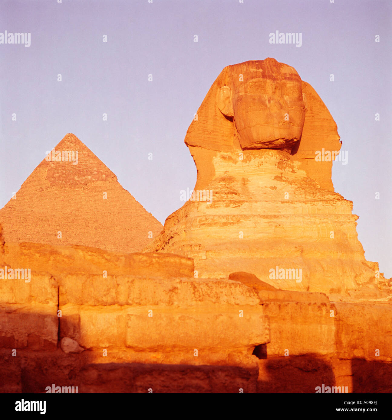 The Sphinx and Pyramid at dawn, Cairo, Egypt, North Africa Stock Photo