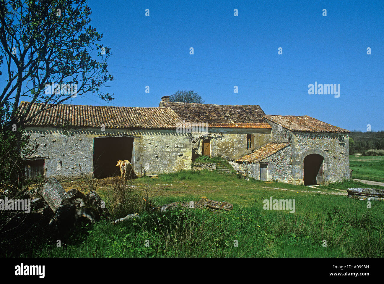 Typical Dordogne rural buildings Stock Photo Alamy