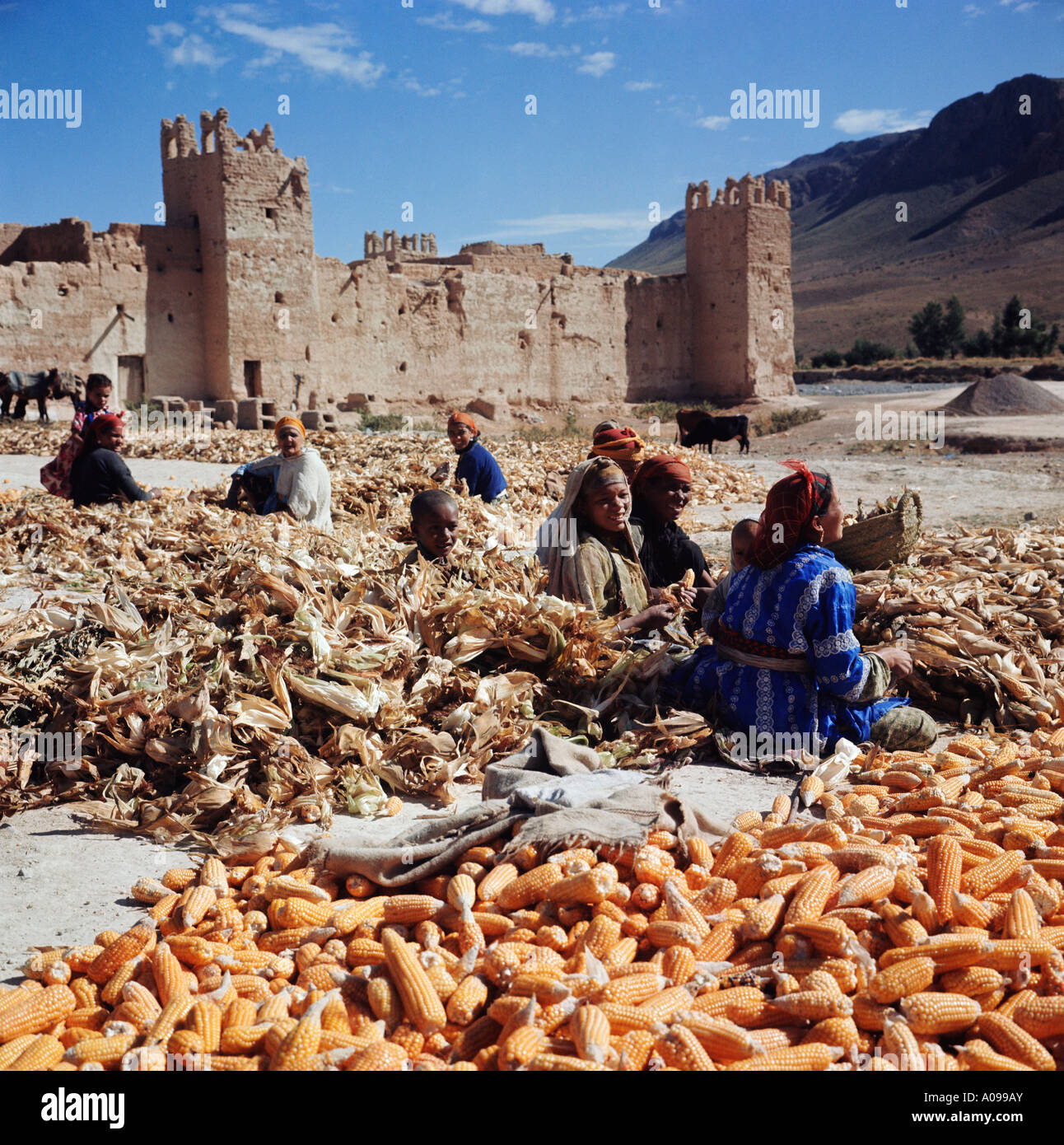 Women farming morocco hi-res stock photography and images - Alamy