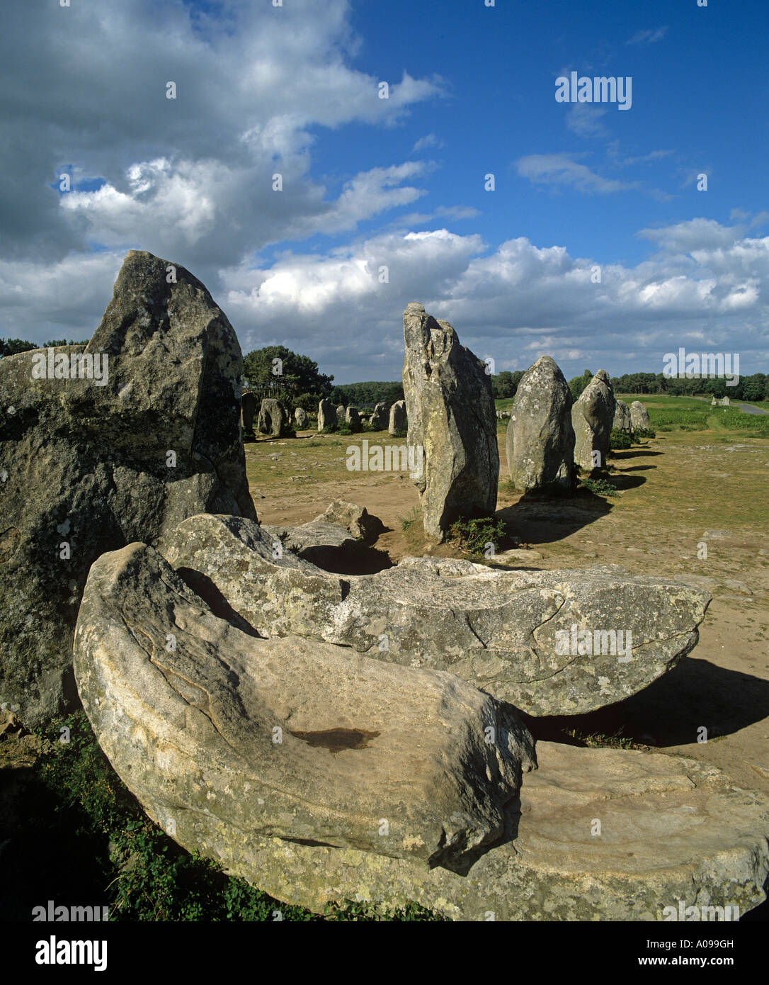 Kermario stone rows stretch over 1228 metres making them the longest of the Carnac region alignments of menhirs Stock Photo