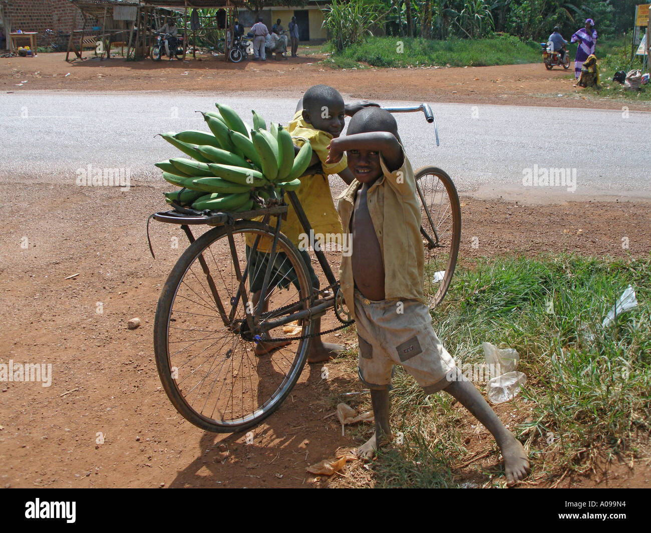 Young boys struggle with an adult sized bicycle carrying plantain Stock Photo