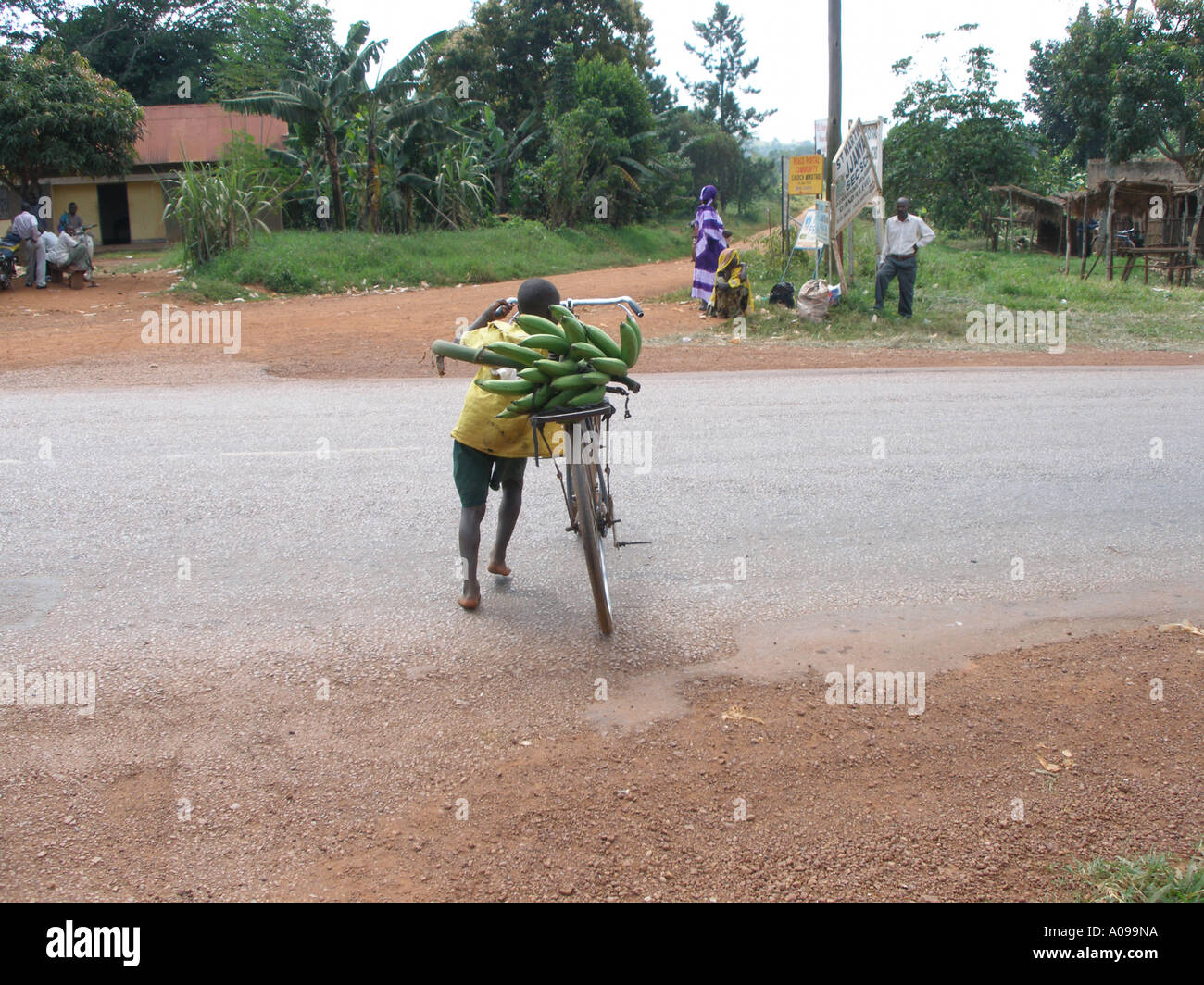 Young boy struggles with an adult sized bicycle carrying plantain Stock Photo