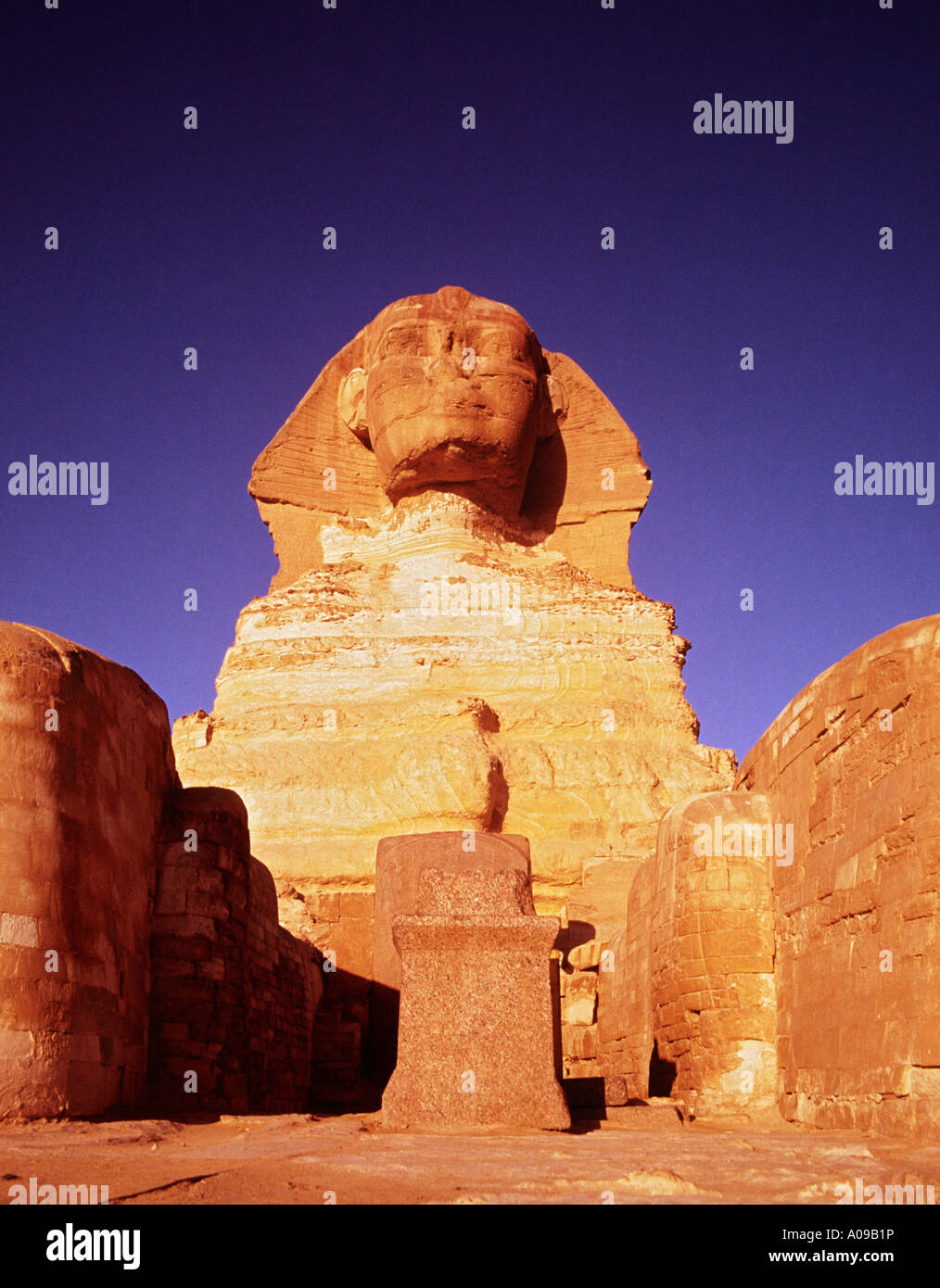 The Sphinx at sunrise Giza, Cairo, Egypt, North Africa. Dramatic close up birds eye front view Stock Photo