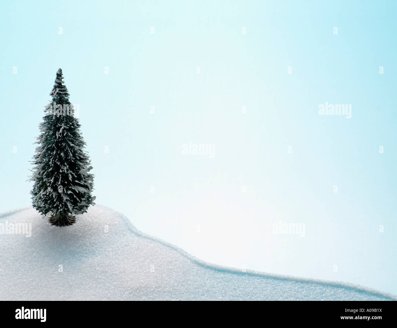 Snow covered fir tree hi-res stock photography and images - Alamy