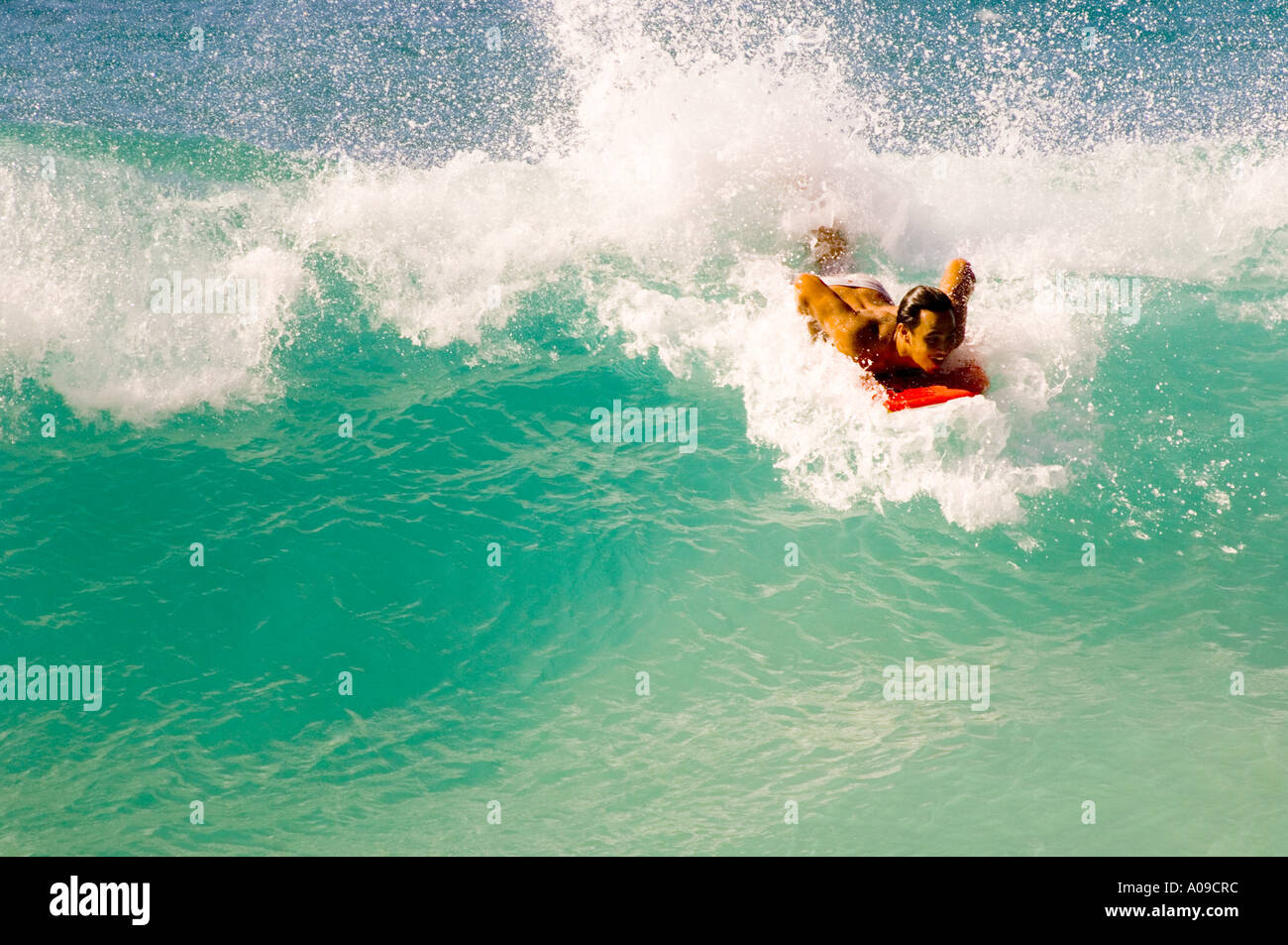 body surfer catches a wave at the body surfing beach on Oahu Hawaii Stock Photo Alamy