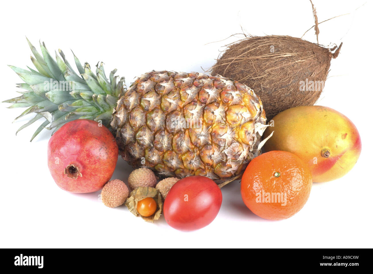 pineapple, coconut, mango, tree tomato, tamarillo, lychee, pomegranate, Cape gooseberry, mandarin (Ananas comosus, Cocos nucife Stock Photo