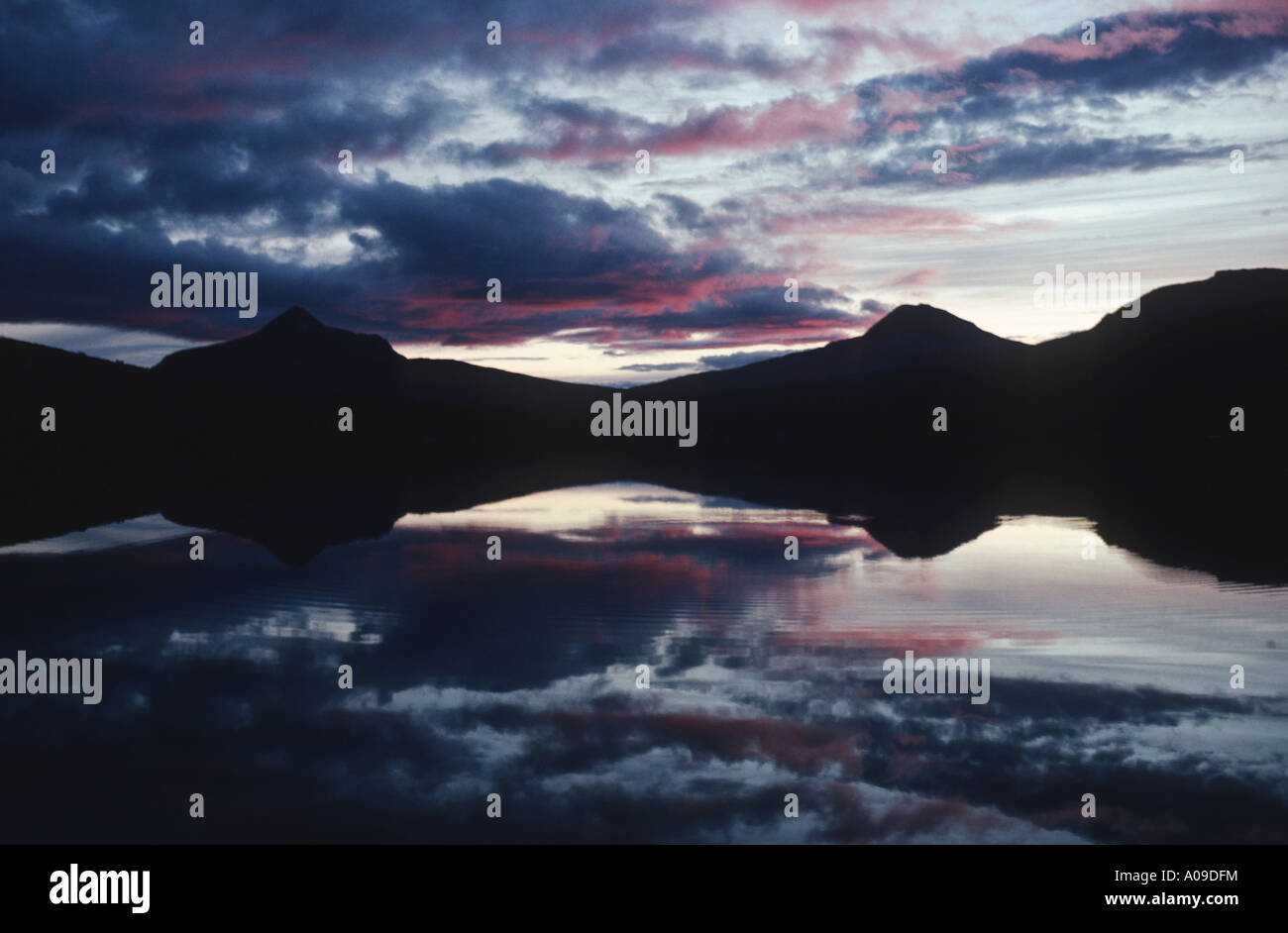 evening mood at Fell, Sweden, Blafjell, Nord-Troendelag Stock Photo - Alamy