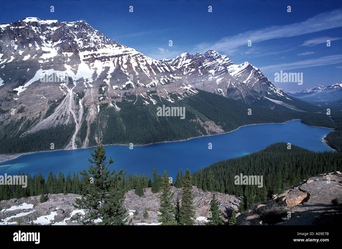 Peyto Lake Banff National Park Canadian Rockies Alberta Canada Stock ...