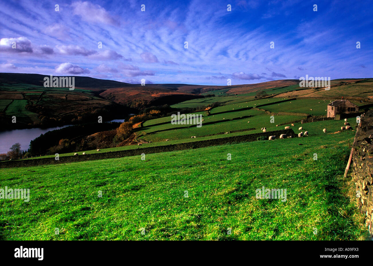 Digley and Bilberry reservoirs, Bradshaw, Holmfirth, West Yorkshire