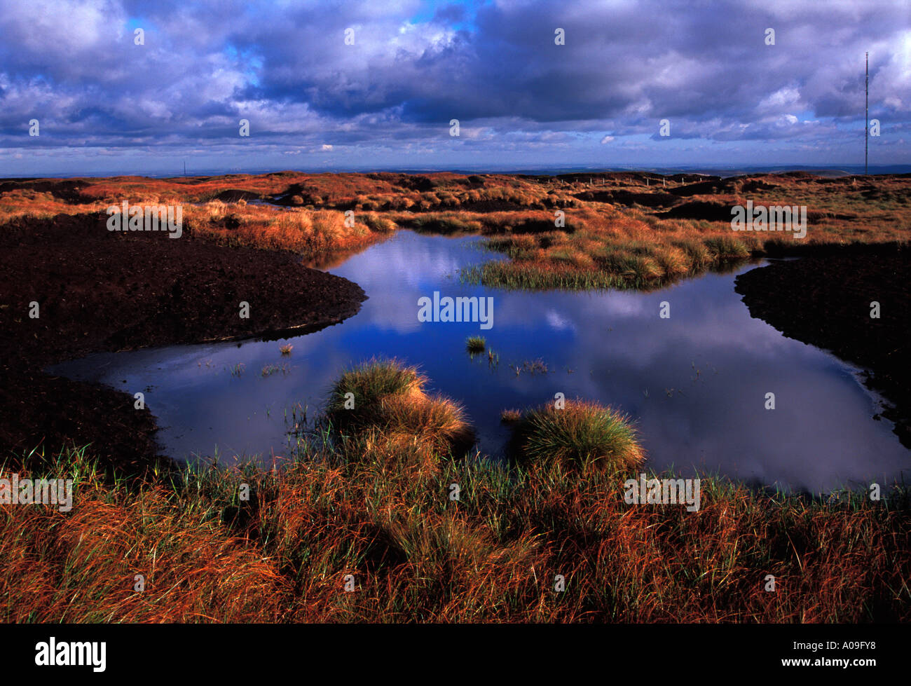 Site of Special Scientific Interest, peat bog, Black Hill plateau