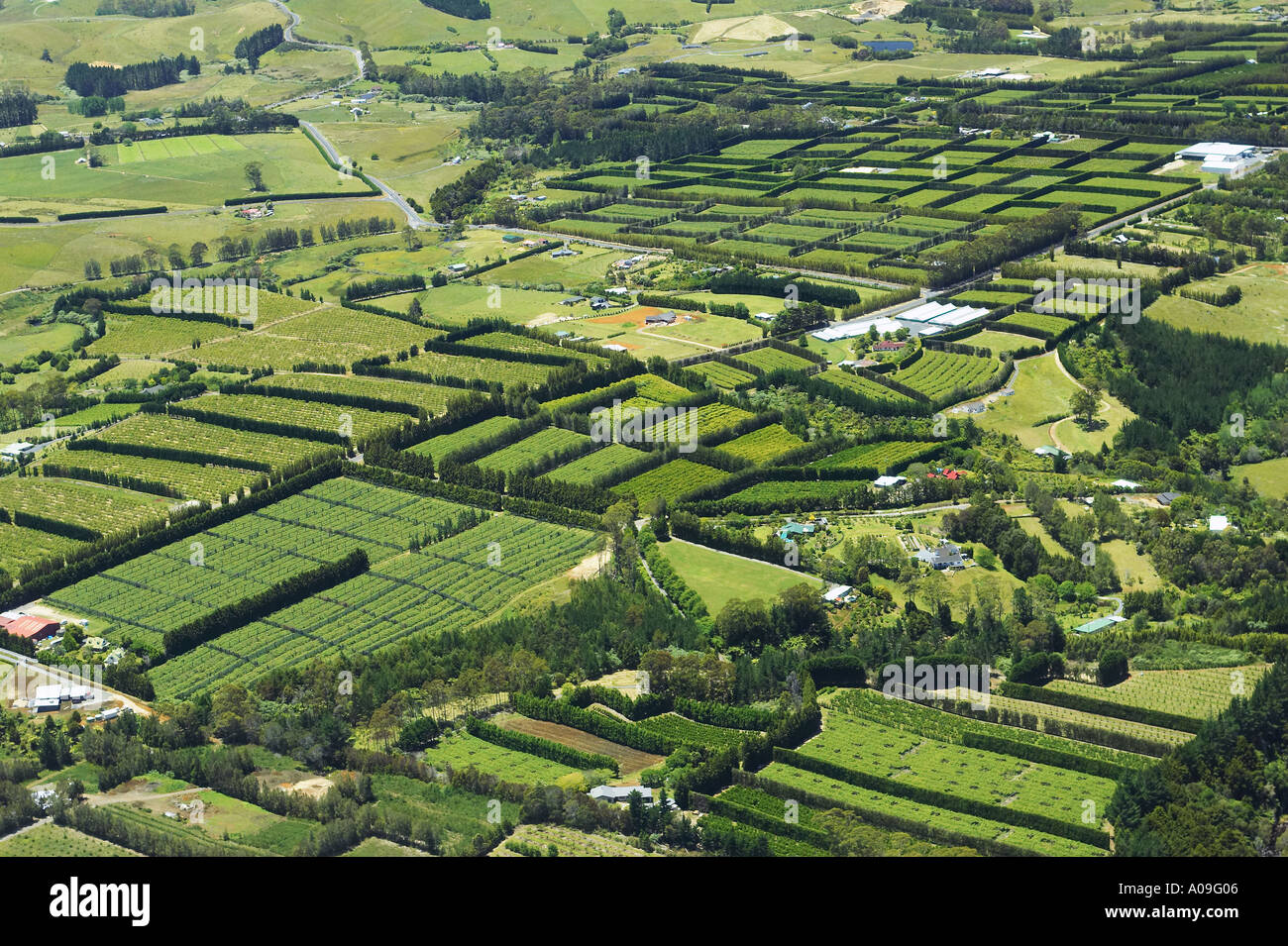 Orchards near Kerikeri Bay of Islands New Zealand aerial Stock Photo