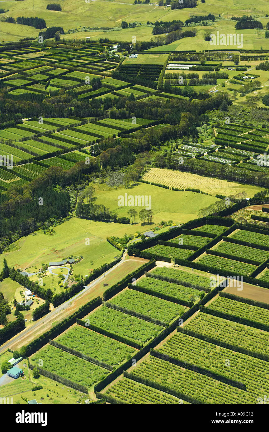 Orchards near Kerikeri Bay of Islands New Zealand aerial Stock Photo