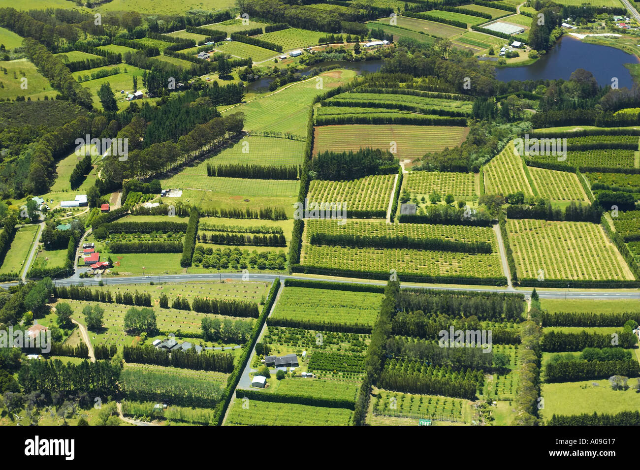Orchards near Kerikeri Bay of Islands New Zealand aerial Stock Photo