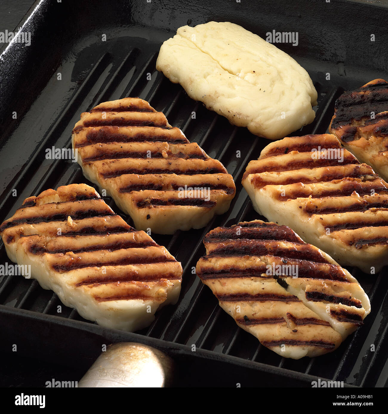 Grilled Haloumi in grill pan one slice uncooked keywords Vegetarian cheese  Halloumi Stock Photo - Alamy
