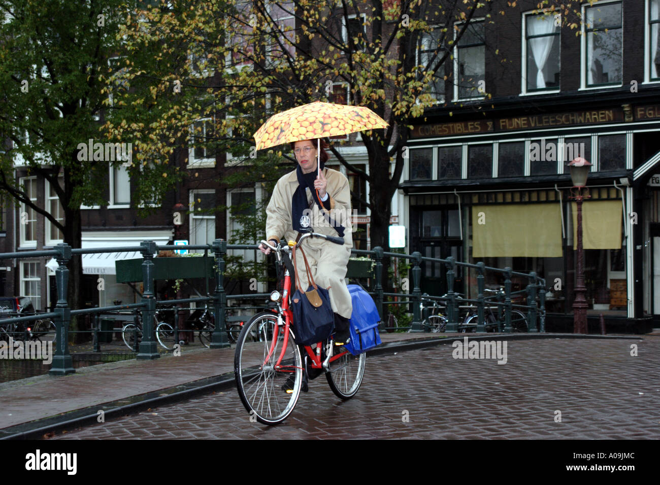 Woman with umbrella riding bicycle Stock Photo Alamy