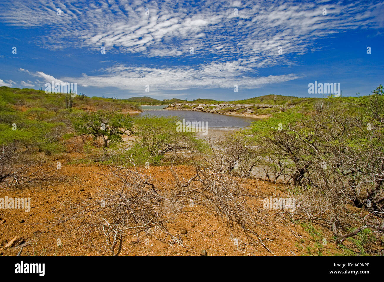 Desert landscape of the tropical Caribbean island of Bonaire with