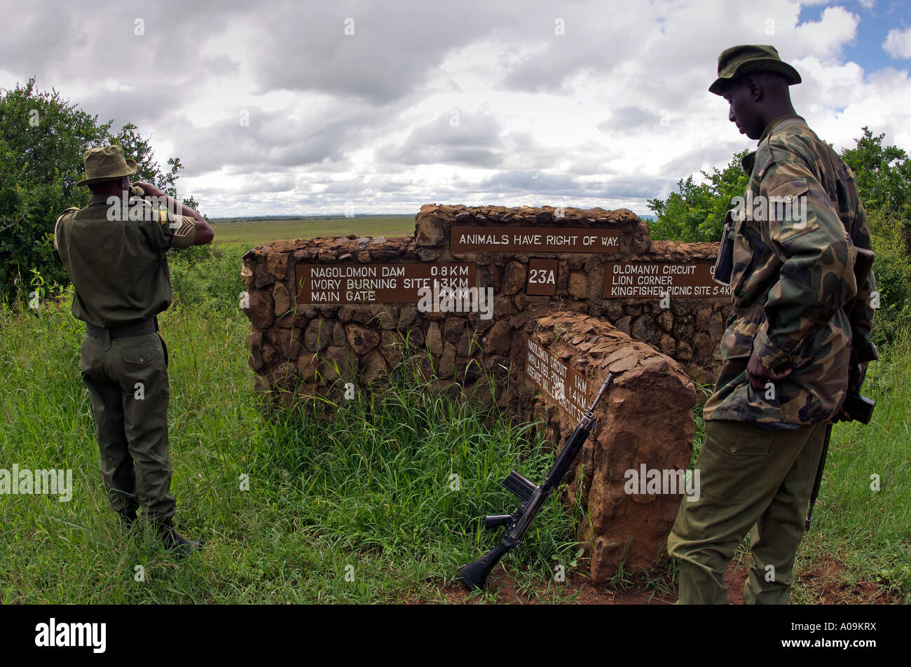 Rangers from the Kenya Wildlife Service (KWS) patrolling Nairobi National Park for the security