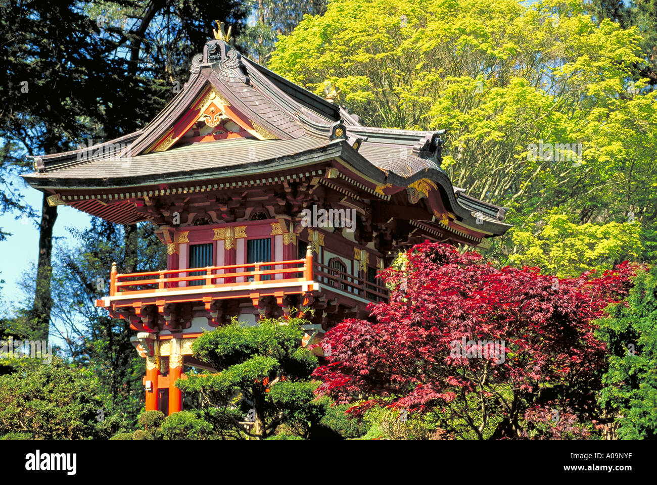 Elk253-5375 California San Francisco, Golden Gate Park, Japanese Tea Garden, temple Stock Photo