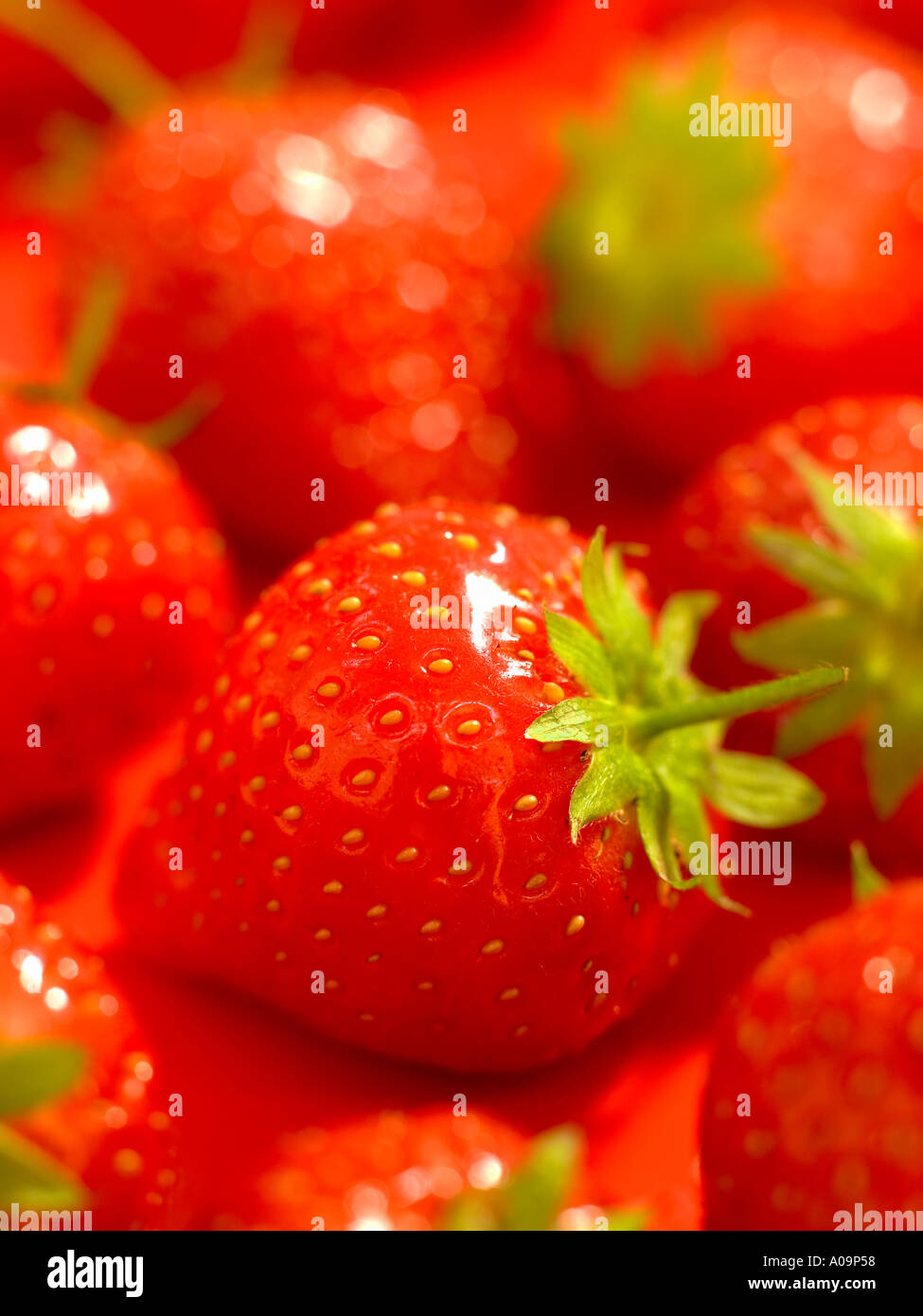Strawberries fruit fresh flesh red hi-res stock photography and images ...