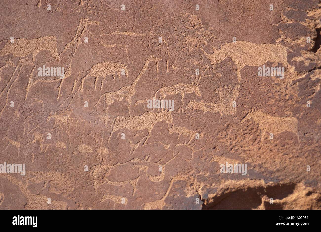 Rock Engravings Stock Photo