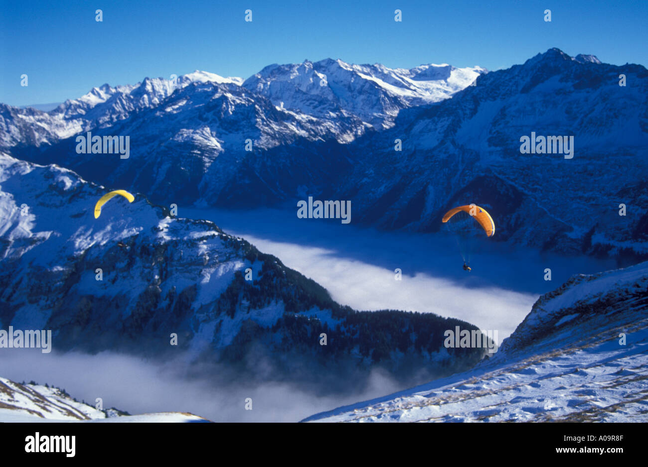 parasailers gliding above Haslital or Hasli valley Bernese Alps winter Switzerland Stock Photo