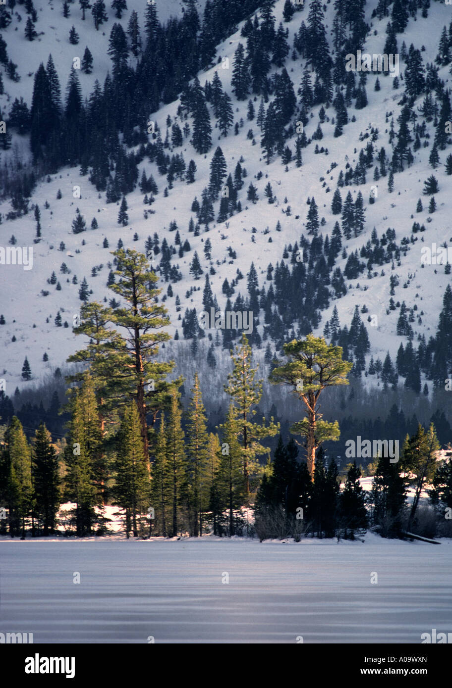 June lake sierra nevada mountains hi-res stock photography and images ...