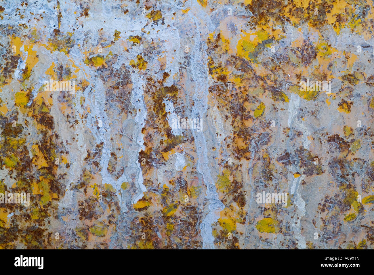 Light Rusted Plate Rusted metal plate, colours form a texture Stock Photo - Alamy