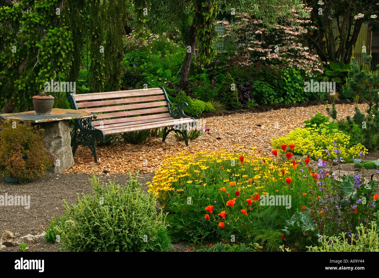 Chip wood path and bench at Northwest Garden Nursery Eugene Oregon