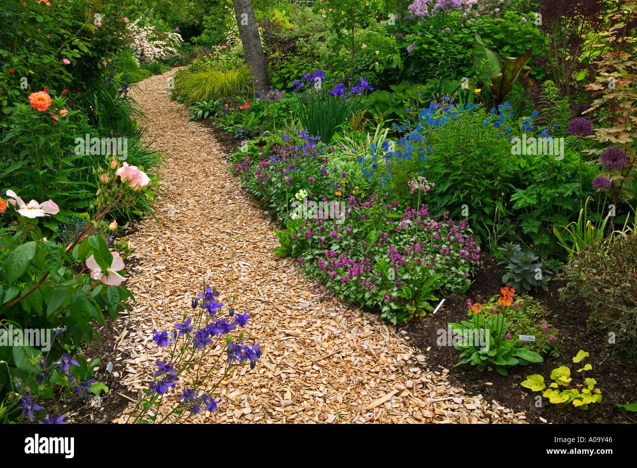 Wood chip path at Northwest Garden Nursery Eugene Oregon Stock Photo
