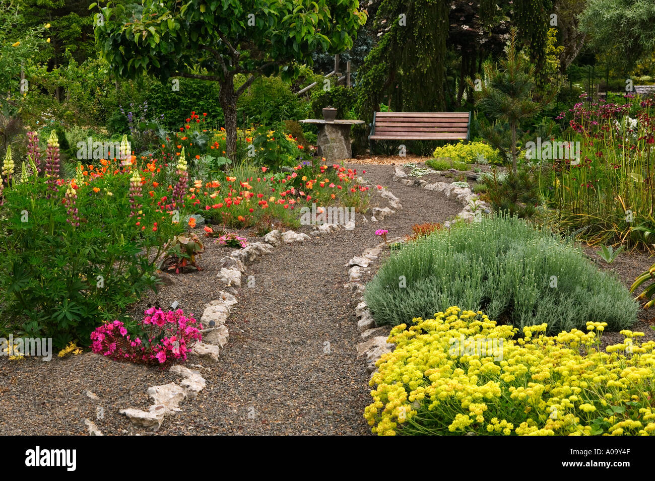 Gravel path and bench at Northwest Garden Nursery Eugene Oregon Stock