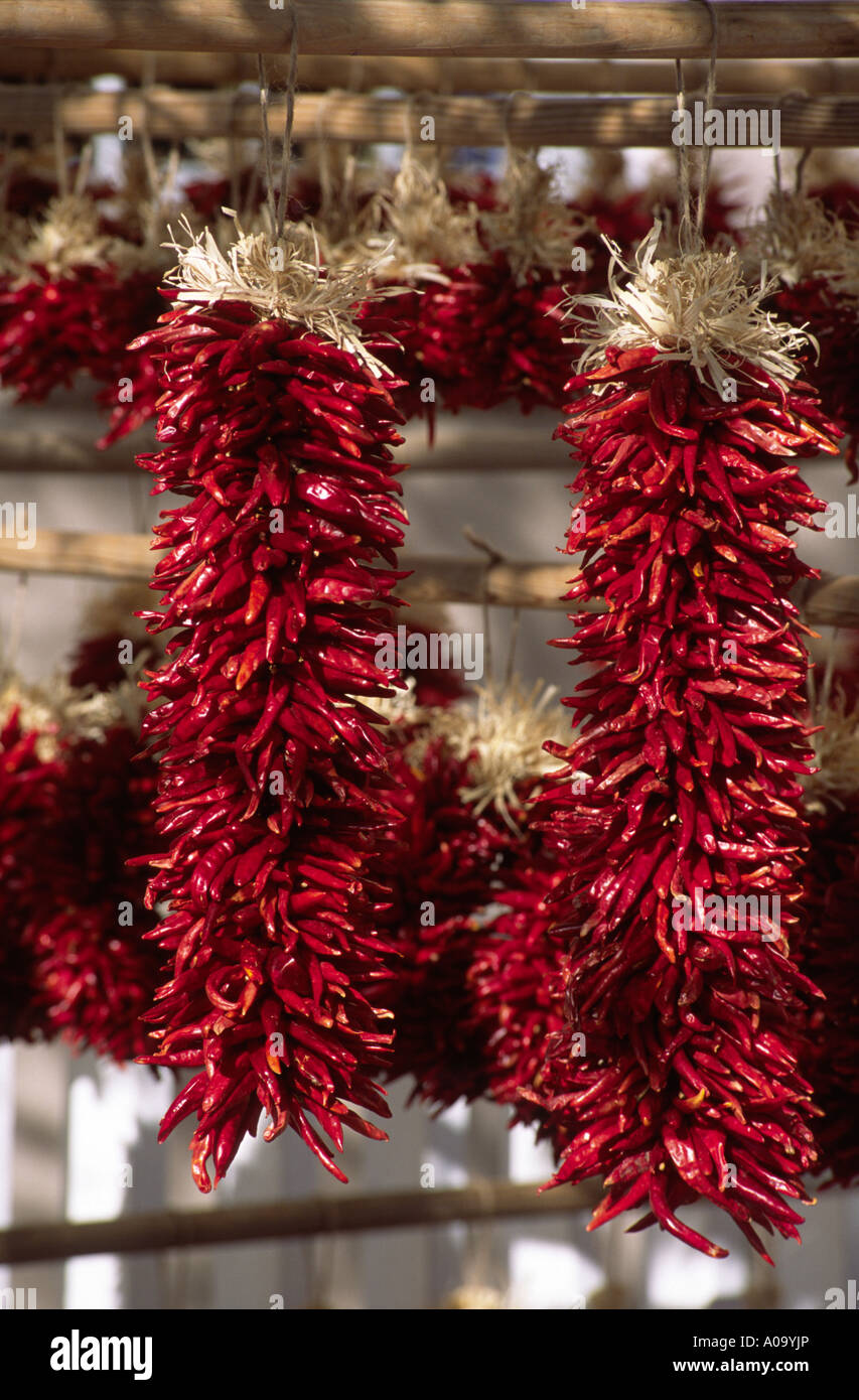 DRIED RED CHILE PEPPERS are offered for sale in long strings SANTA FE