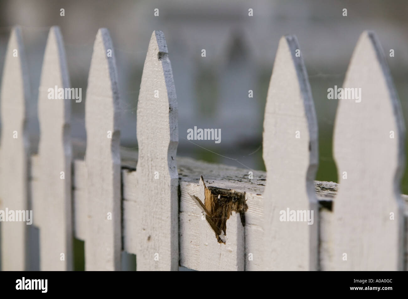 White picket fence with one broken tip Stock Photo