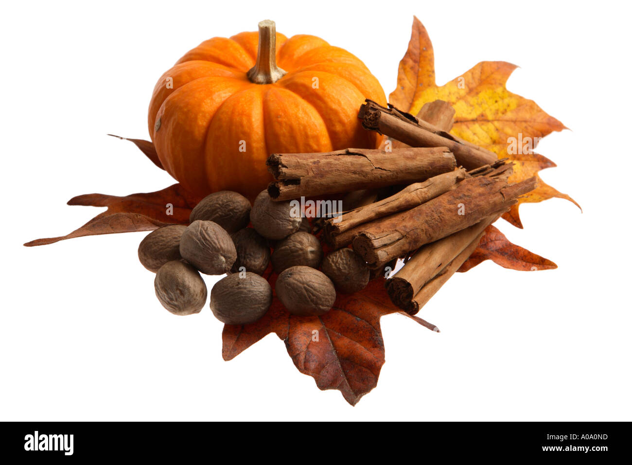 Autumn still life with pumpkin, cinnamon, nutmeg, spices and maple leaf. Stock Photo