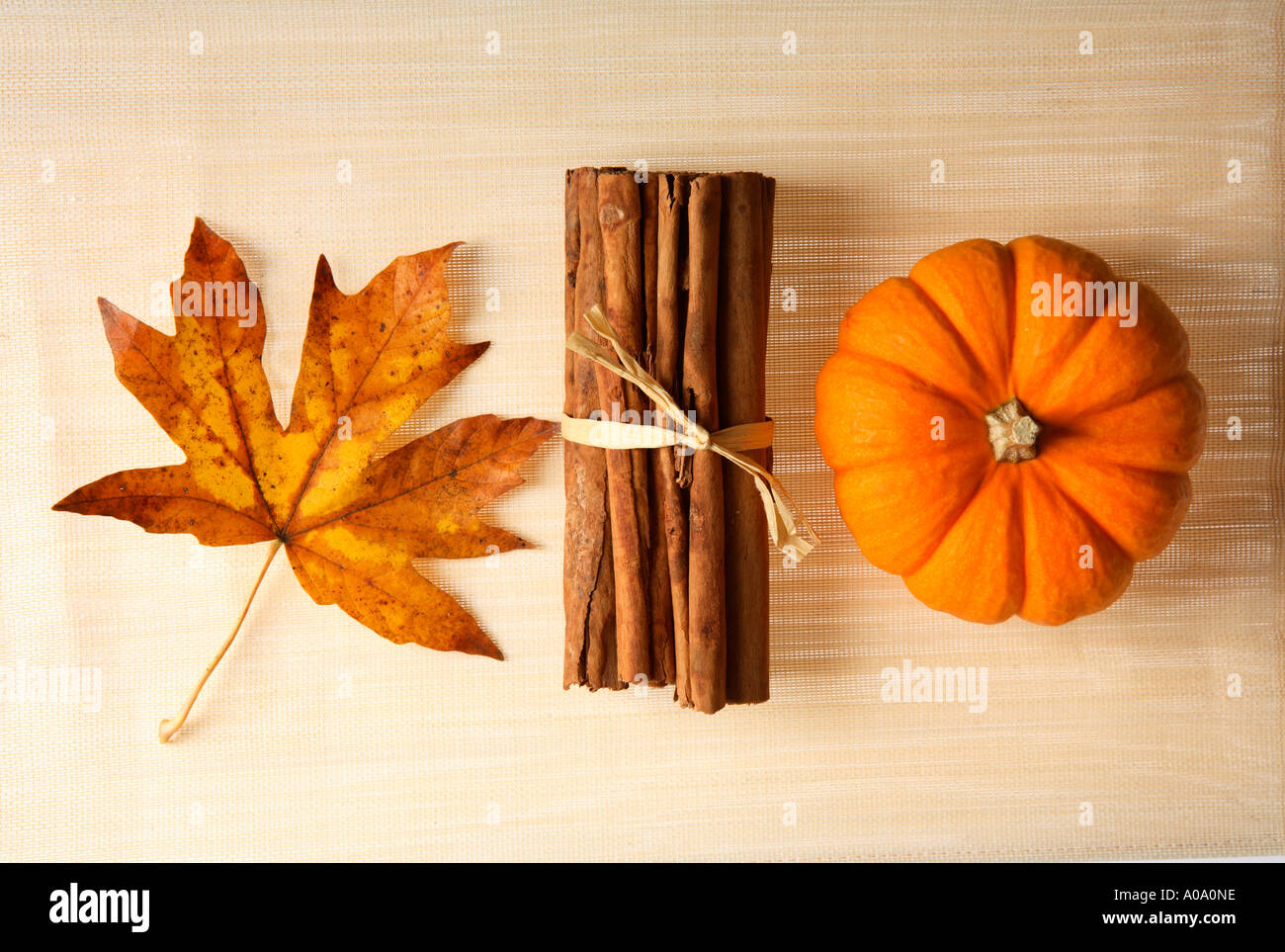 Autumn still life with pumpkin, cinnamon, spices and maple leaf. Stock Photo