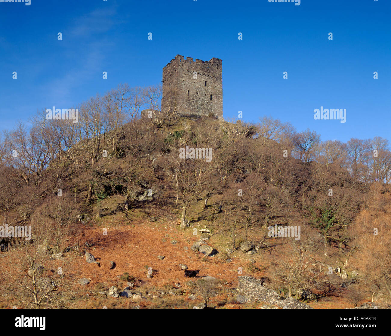 Dolwyddelan Castle, Lledr Valley, south west of Betws-y-coed, Gwynedd, North Wales, UK. Stock Photo
